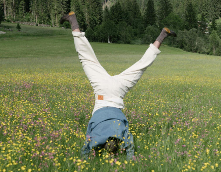 Photo-graph platform